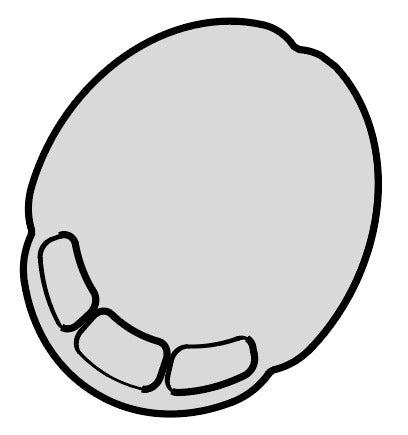 GROUP HEAD DISPLAY GLASS