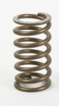 STEAM VALVE SPRING
